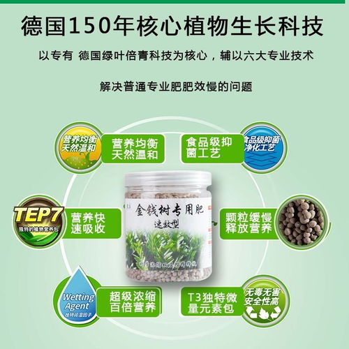 <  有钱活的旺｜金钱树幸福树的隐形专肥 ，你不能乱来！>